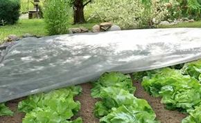 Флис для защиты растений